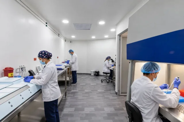 Laboratorio de embriología